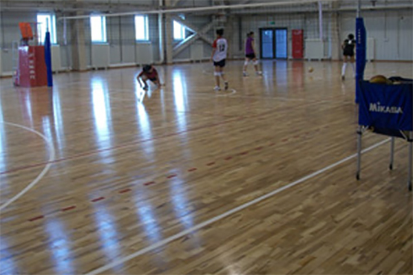 ��ľ�w���ذ�